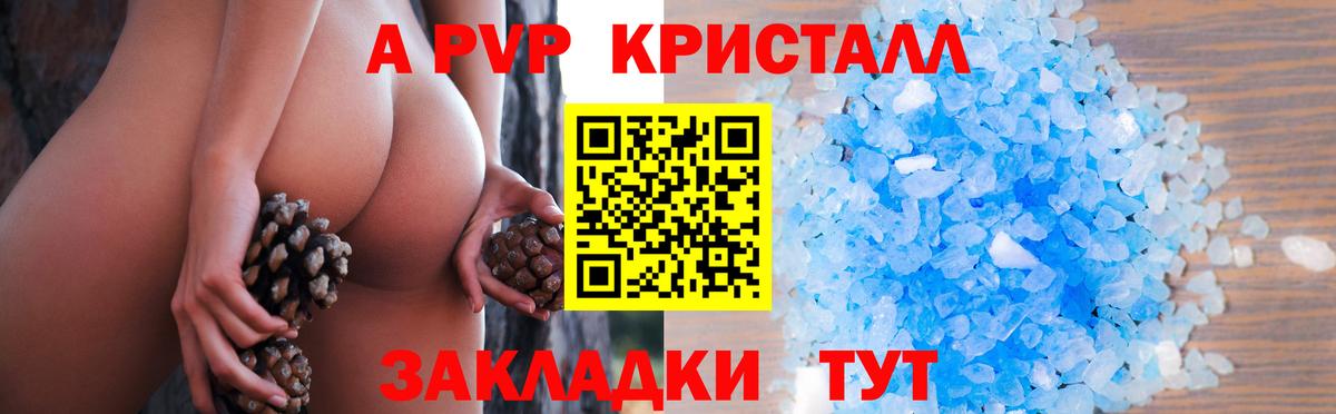 Alfa_PVP СК Бийск