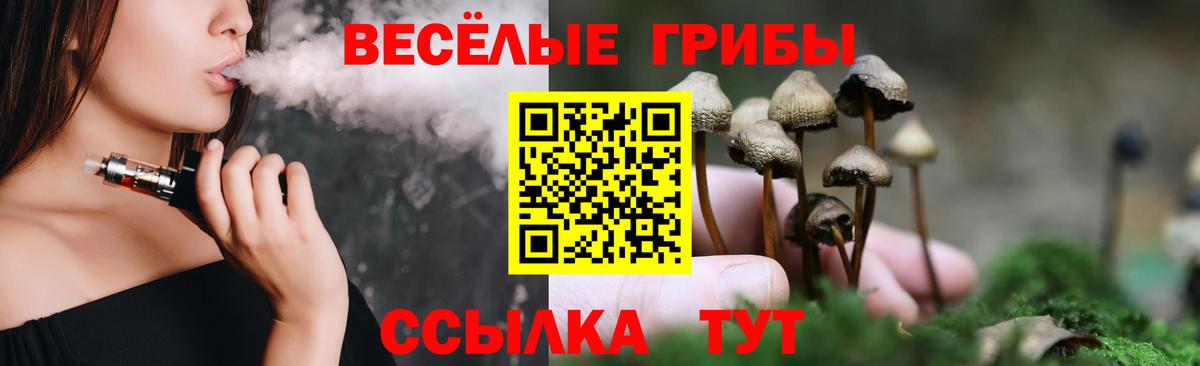 Псилоцибиновые грибы ЛСД  как найти закладки  Бийск  Вход с VPN 
